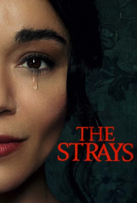 The Strays (Hindi Dubbed)